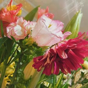 Meet your Posher, Mia